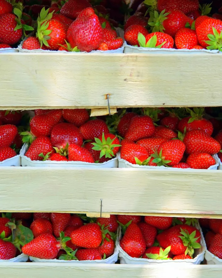 HaloOtwock.pl,transport,zastosowanie w przemysle,skrzynie,skrzynie do owoców,skrzynie drewniane,drewniane skrzynie