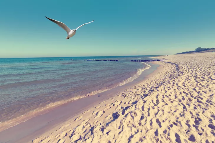 HaloOtwock.pl,apartamenty,apartamenty nad morzem,spacer nad morzem,spacer,jesień nad morzem