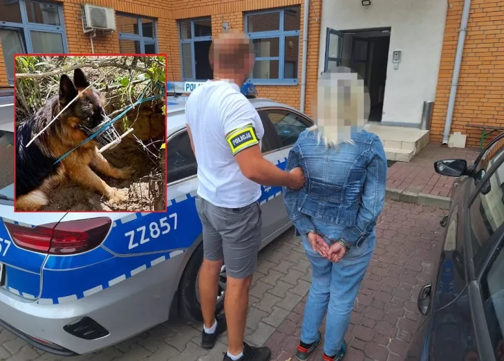 policja otwock,znęcanie nad psem,finał psiej tragedii józefów,znęcanie ze szczególnym okrucieństwem józefów,finał tragedii psa