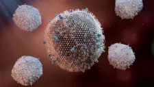 Wirus RSV (Respiratory Syncytial Virus), czyli syncytialny wirus oddechowy / Fot: East News